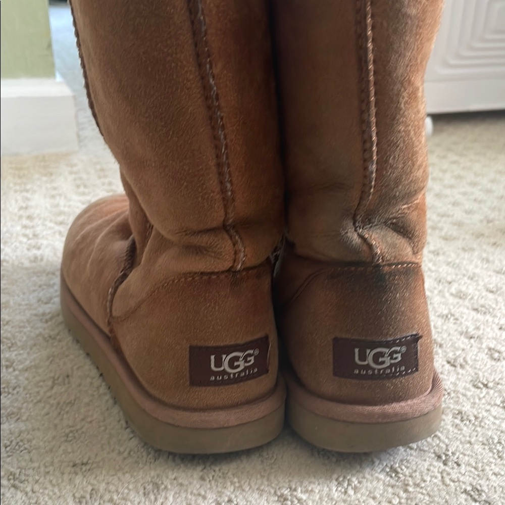 UGG Chestnut Suede Boots